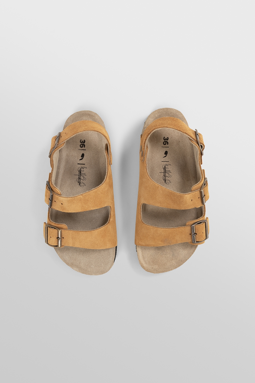 brown romni 36 1
