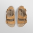 brown romni 36 1