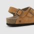 brown romni 36 1