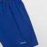 blue 1