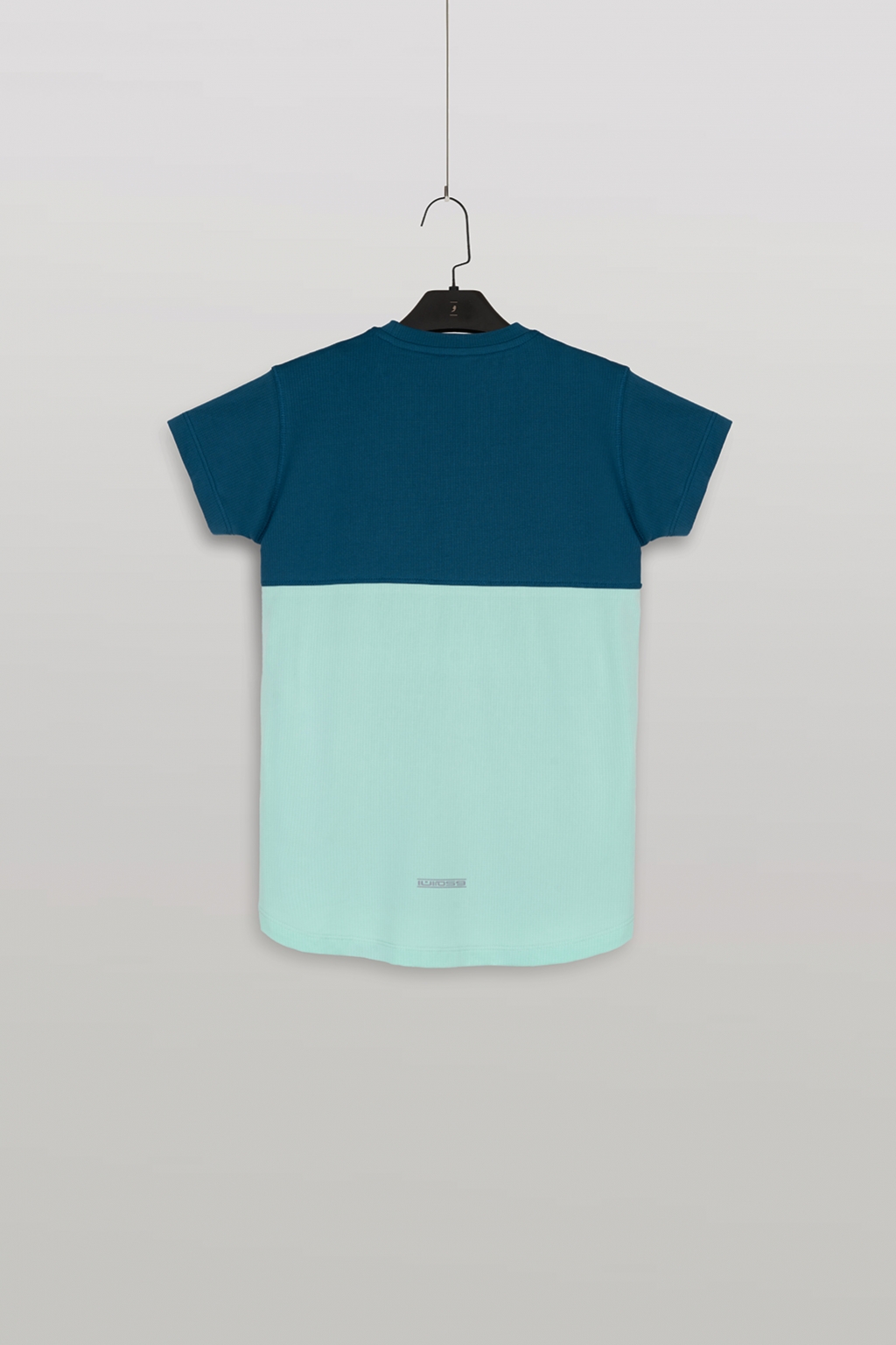 forest 1