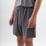 short TRAIN gray 1